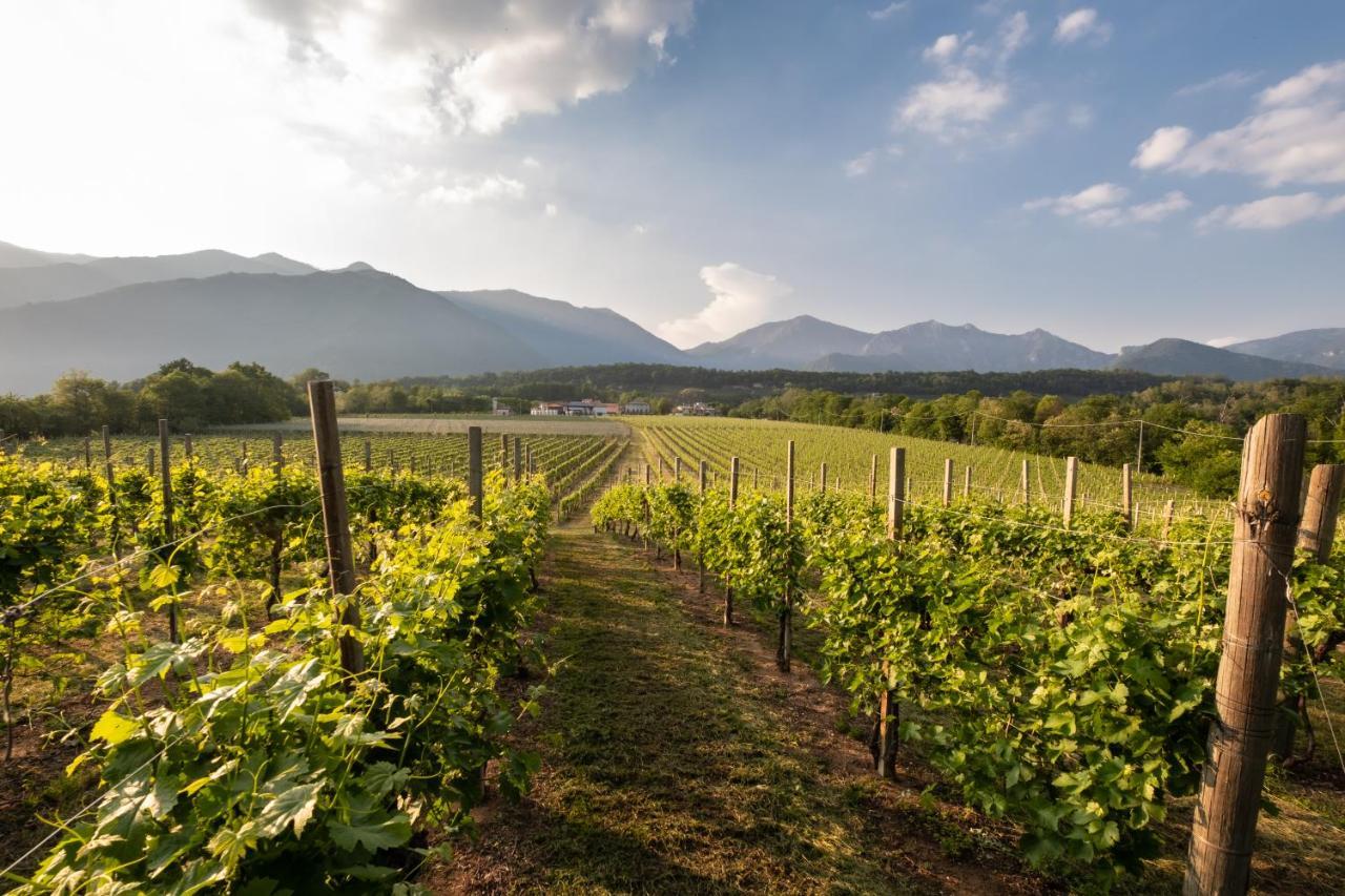 Agriturismo Al Col Follina ภายนอก รูปภาพ